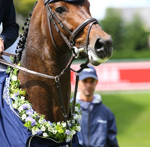 Bouquet_FLEURS DE TOSCANE_La Baule_Pornichet
