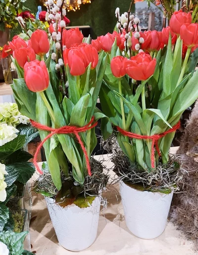 Création_FLEURS DE TOSCANE_La Baule_Pornichet